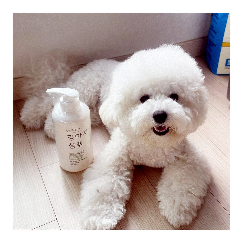 닥터블랭크 저자극 올인원 강아지 샴푸 새끼강아지 보습 목욕 베이비파우더, 500ml, 1개