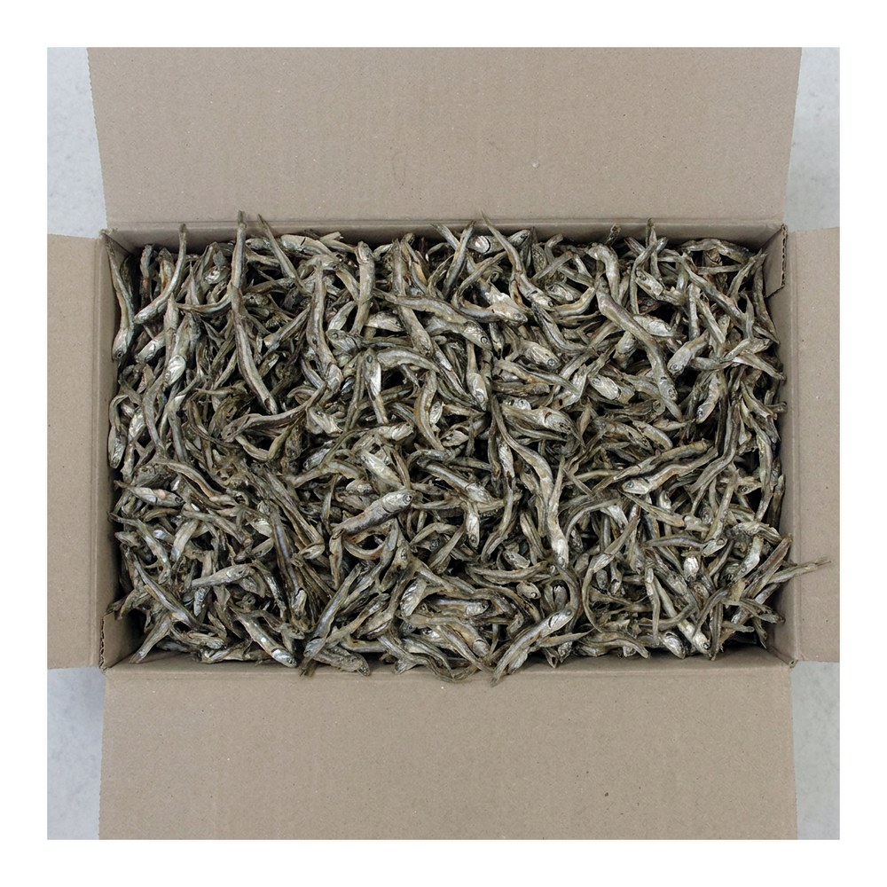 국내산 햇 고바멸치, 1.5kg, 1개