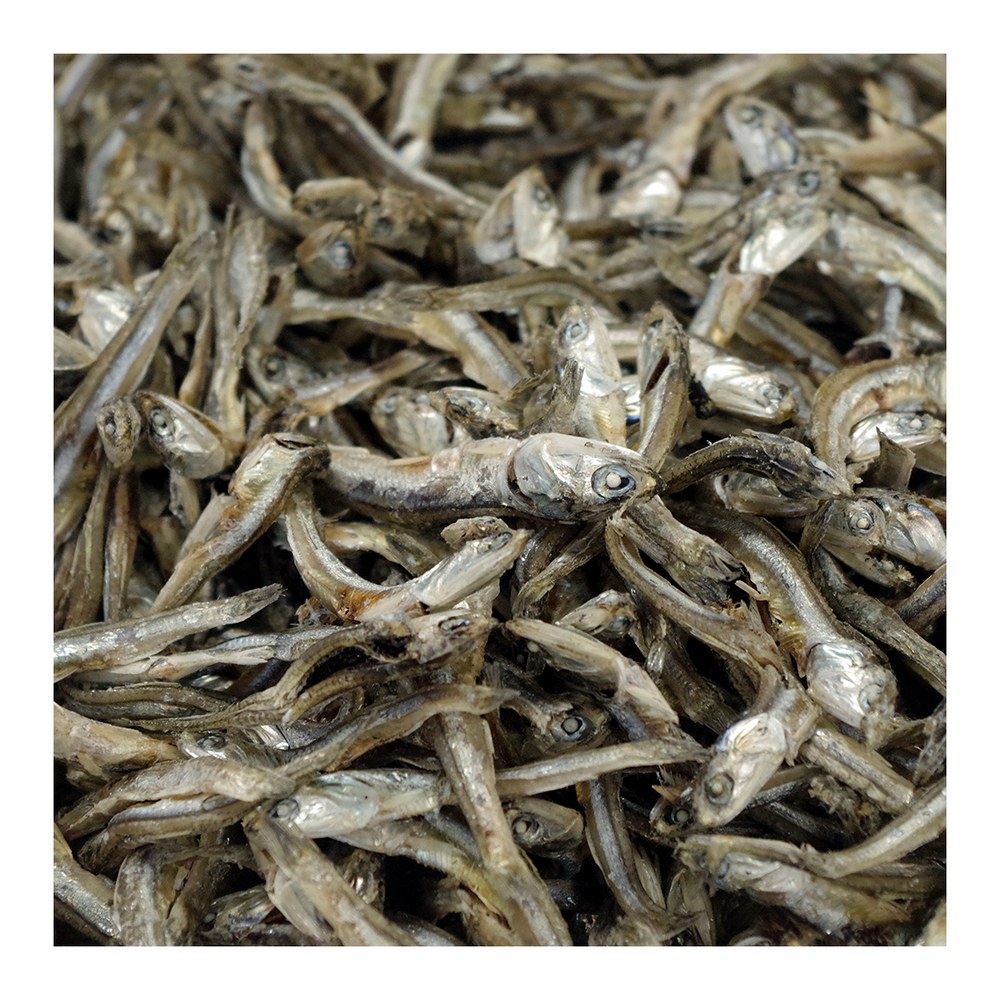 국내산 햇 고바멸치, 1.5kg, 1개