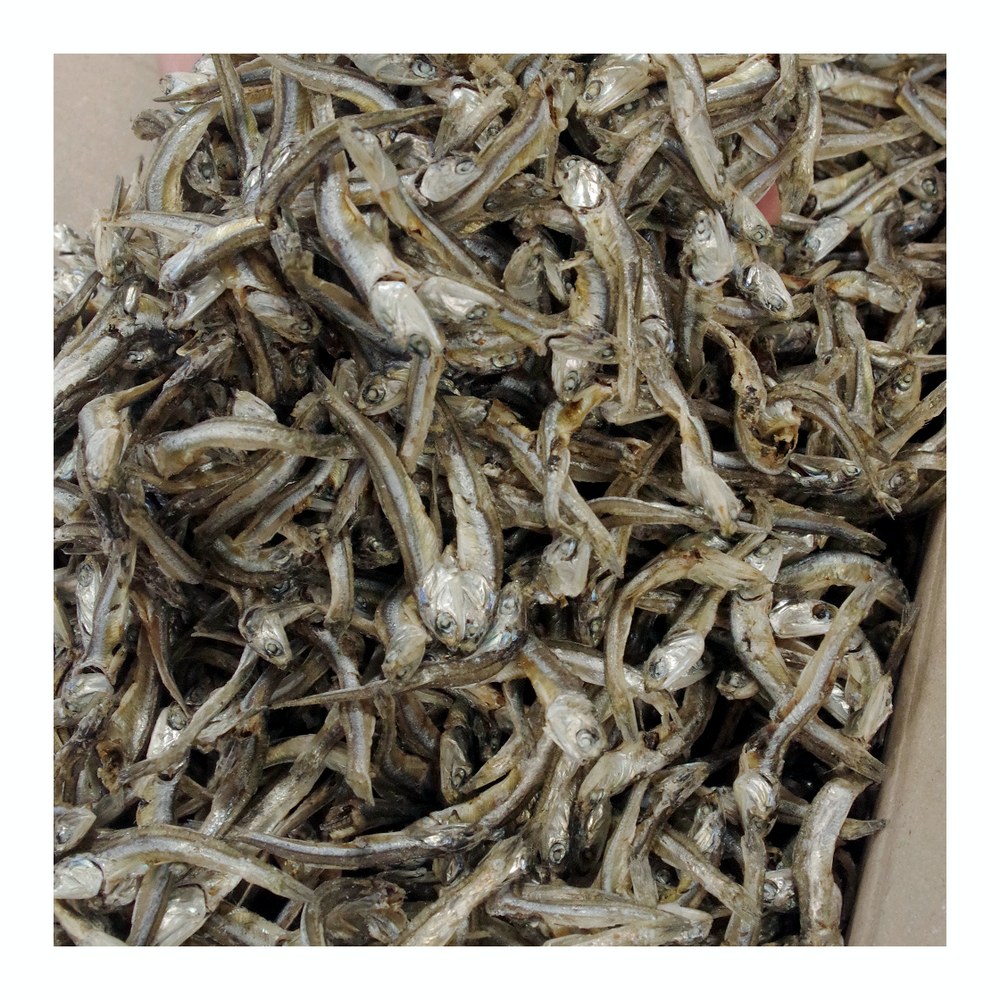 국내산 햇 고바멸치, 1.5kg, 1개