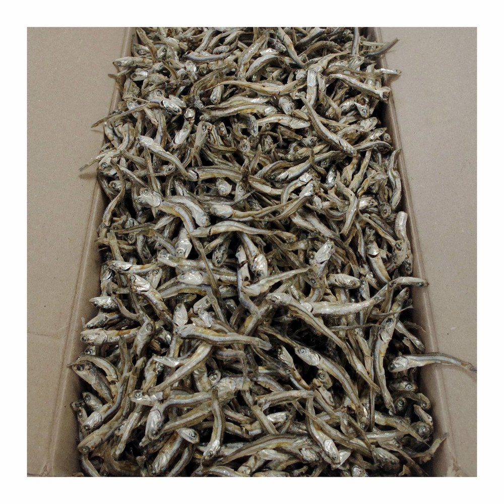 국내산 햇 고바멸치, 1.5kg, 1개