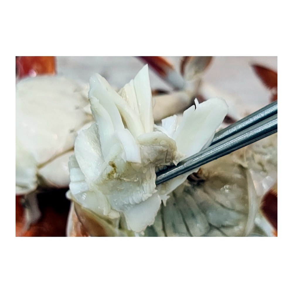 찬바다 국내산 생물 숫꽃게, 1kg, 1세트