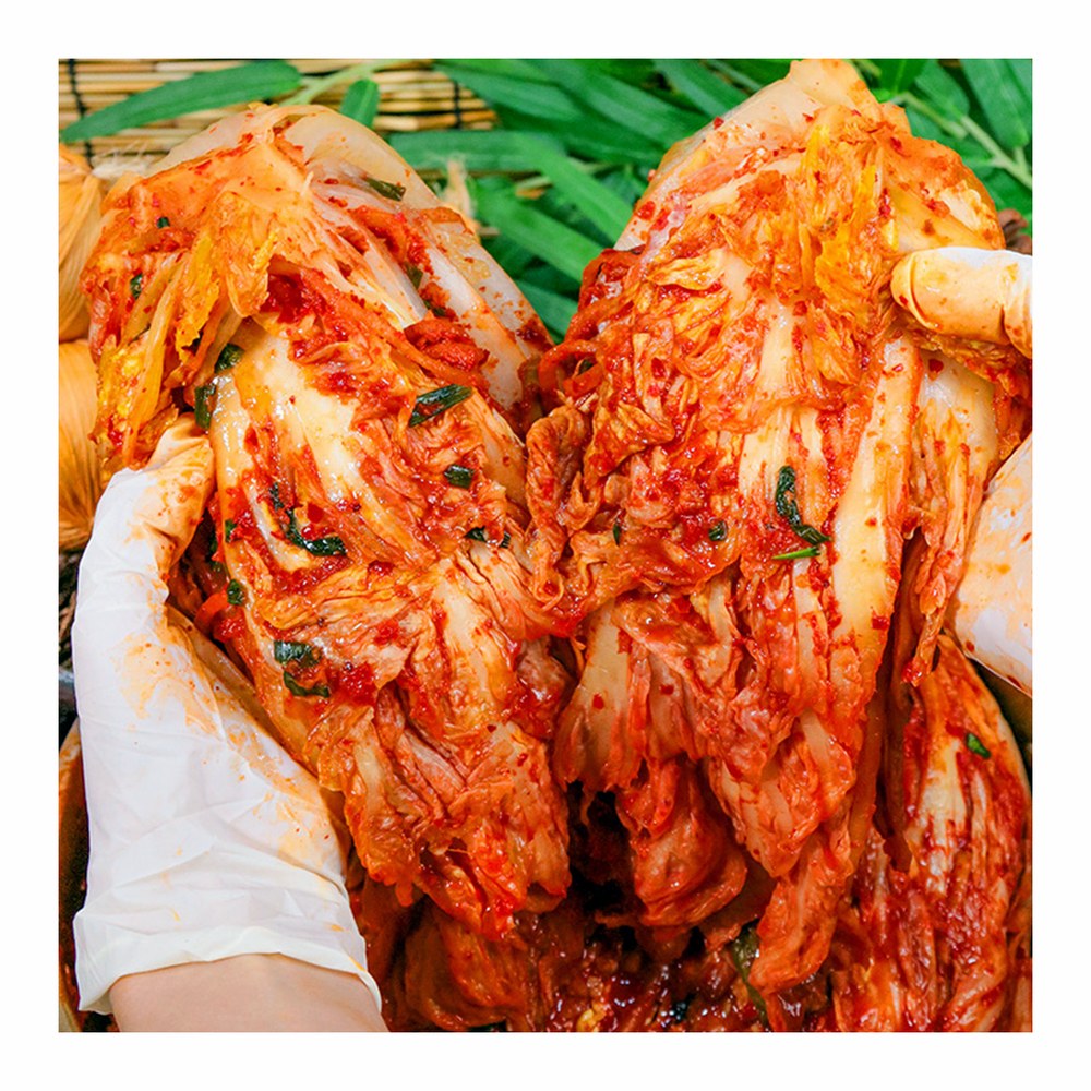 20년 장인김치 전라도식 배추김치, 10kg, 1박스