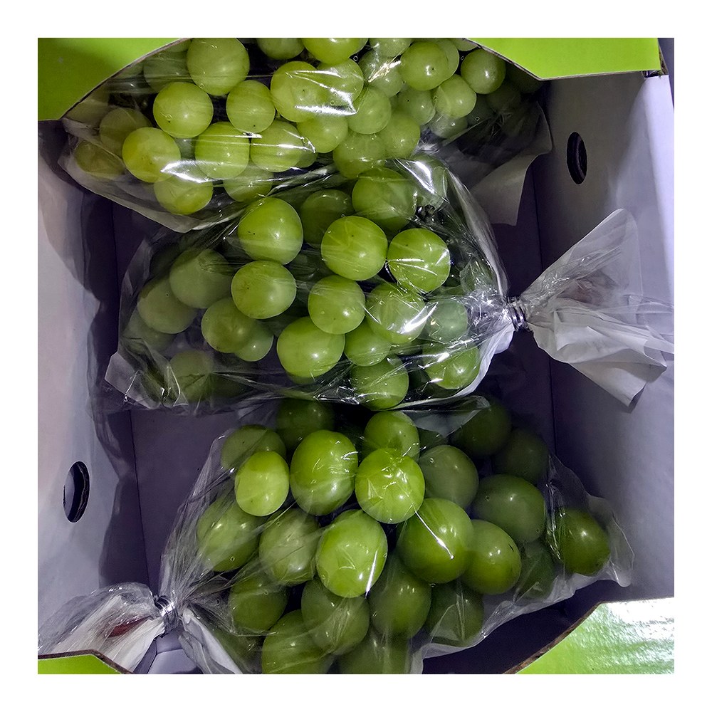 씨없는 포도 샤인머스켓, 랜덤과, 2kg, 1개