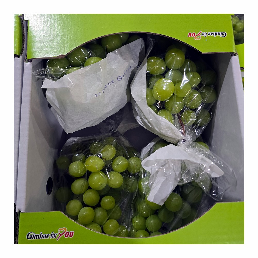 씨없는 포도 샤인머스켓, 랜덤과, 2kg, 1개