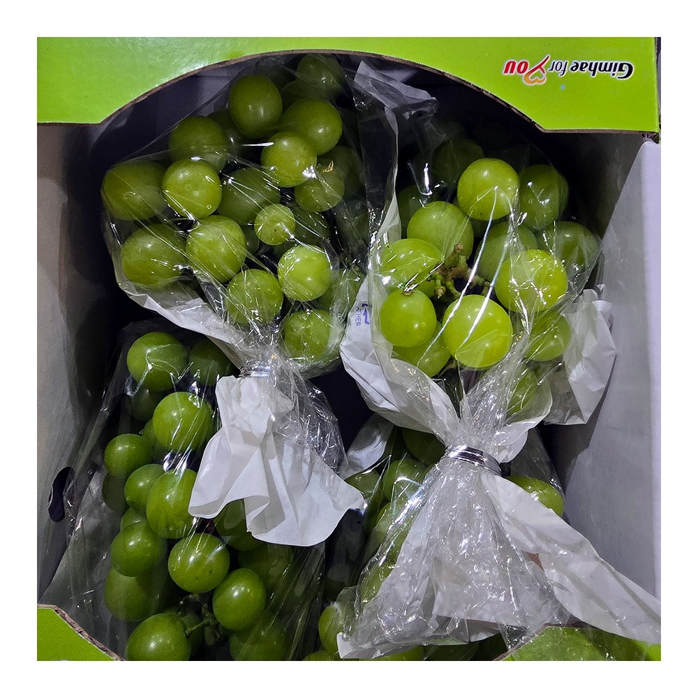 씨없는 포도 샤인머스켓, 랜덤과, 2kg, 1개