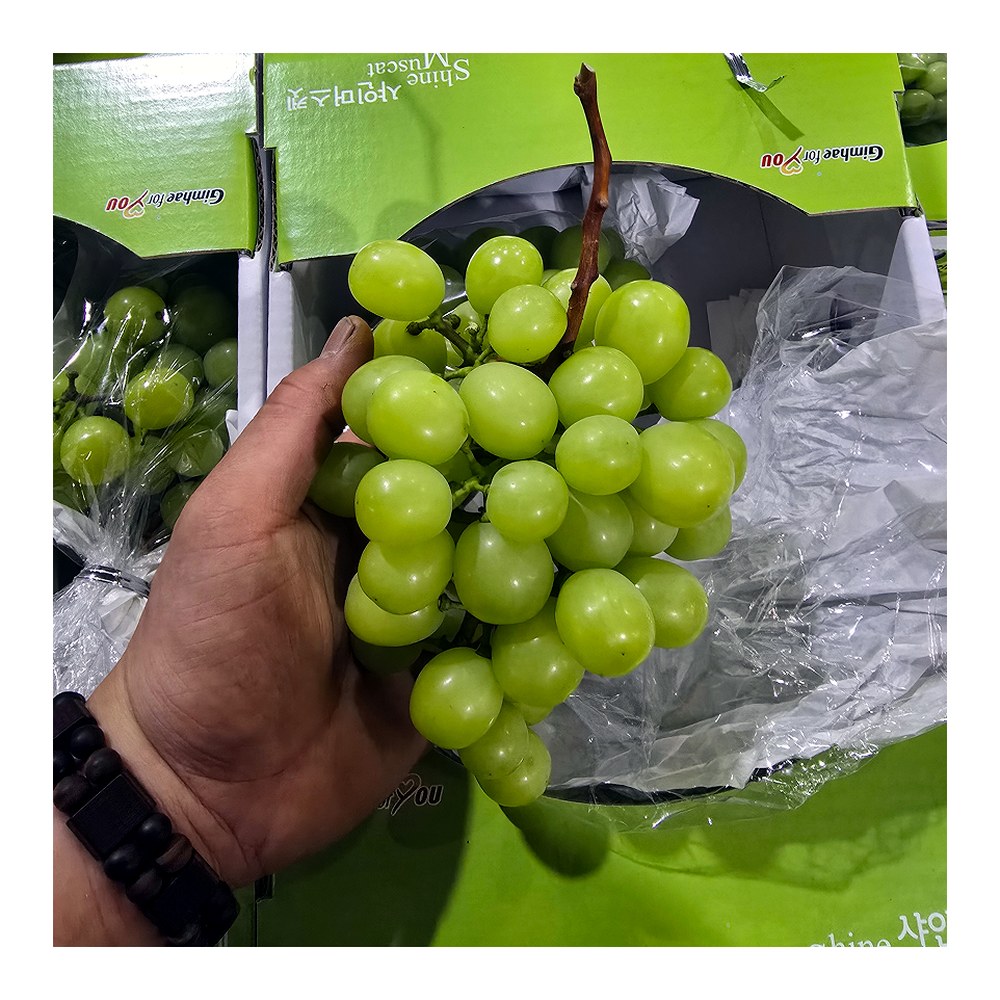 씨없는 포도 샤인머스켓, 랜덤과, 2kg, 1개