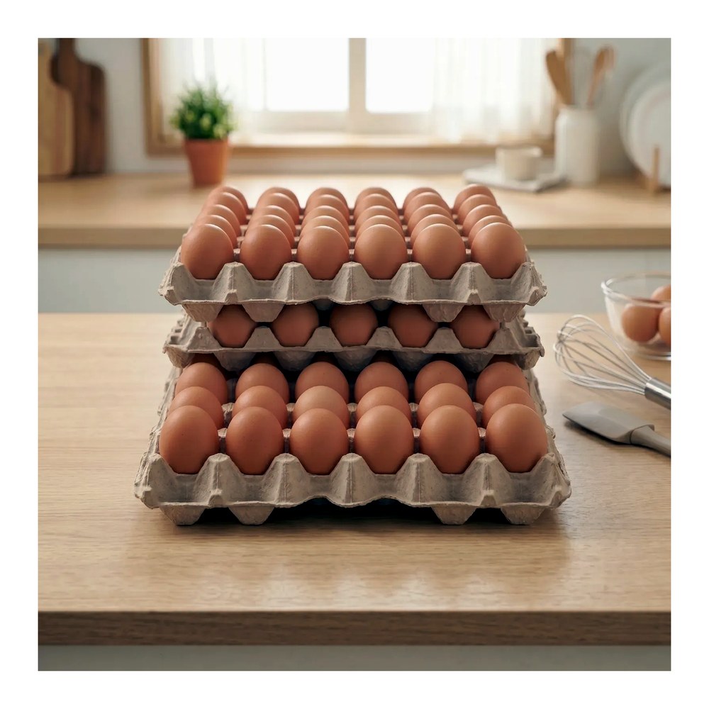 양계장사람들 무항생제 특란, 60g 이상, 60구, 1개