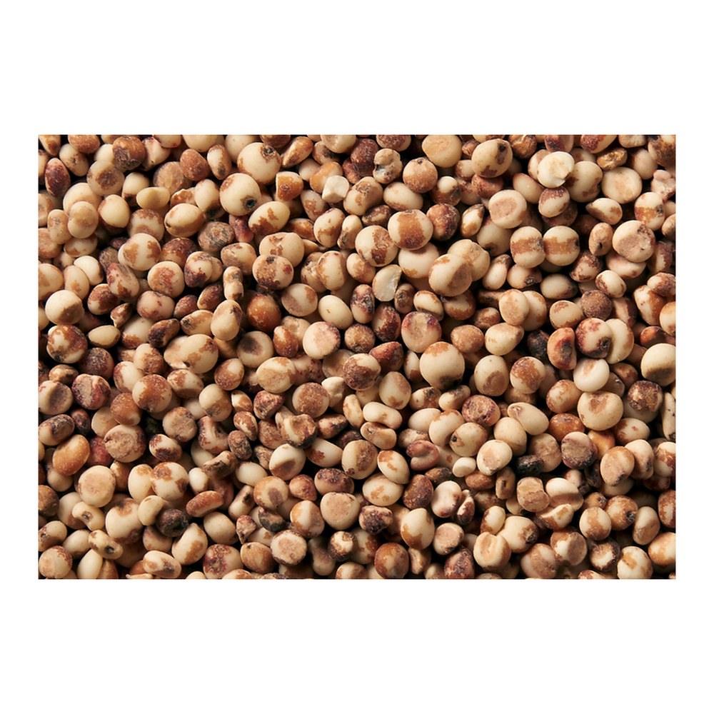 현대농산 찰수수, 국내산, 500g, 2개