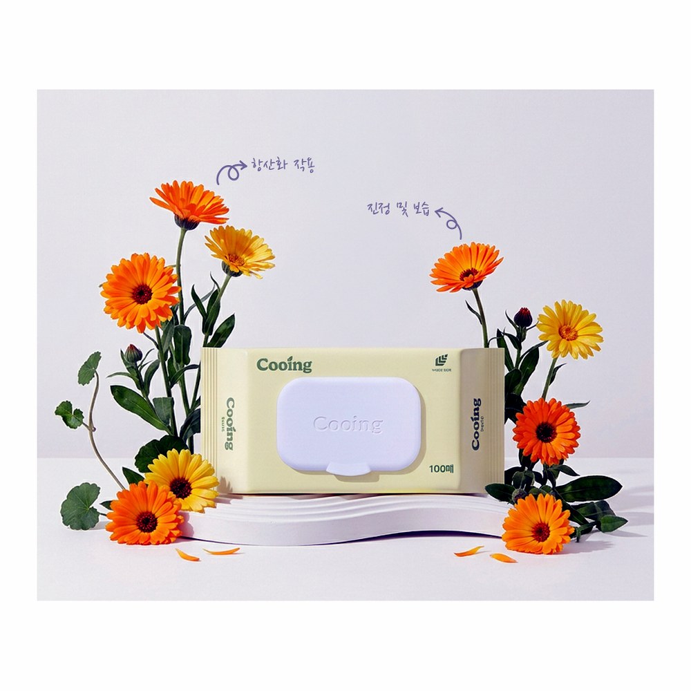 쿠잉 베이직 물티슈, 캡형, 100매, 20팩