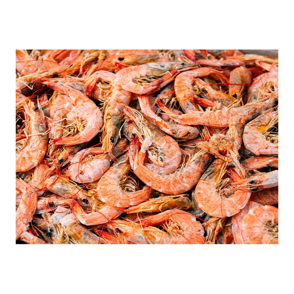 어가찬 중하 건새우, 1.5kg, 1개