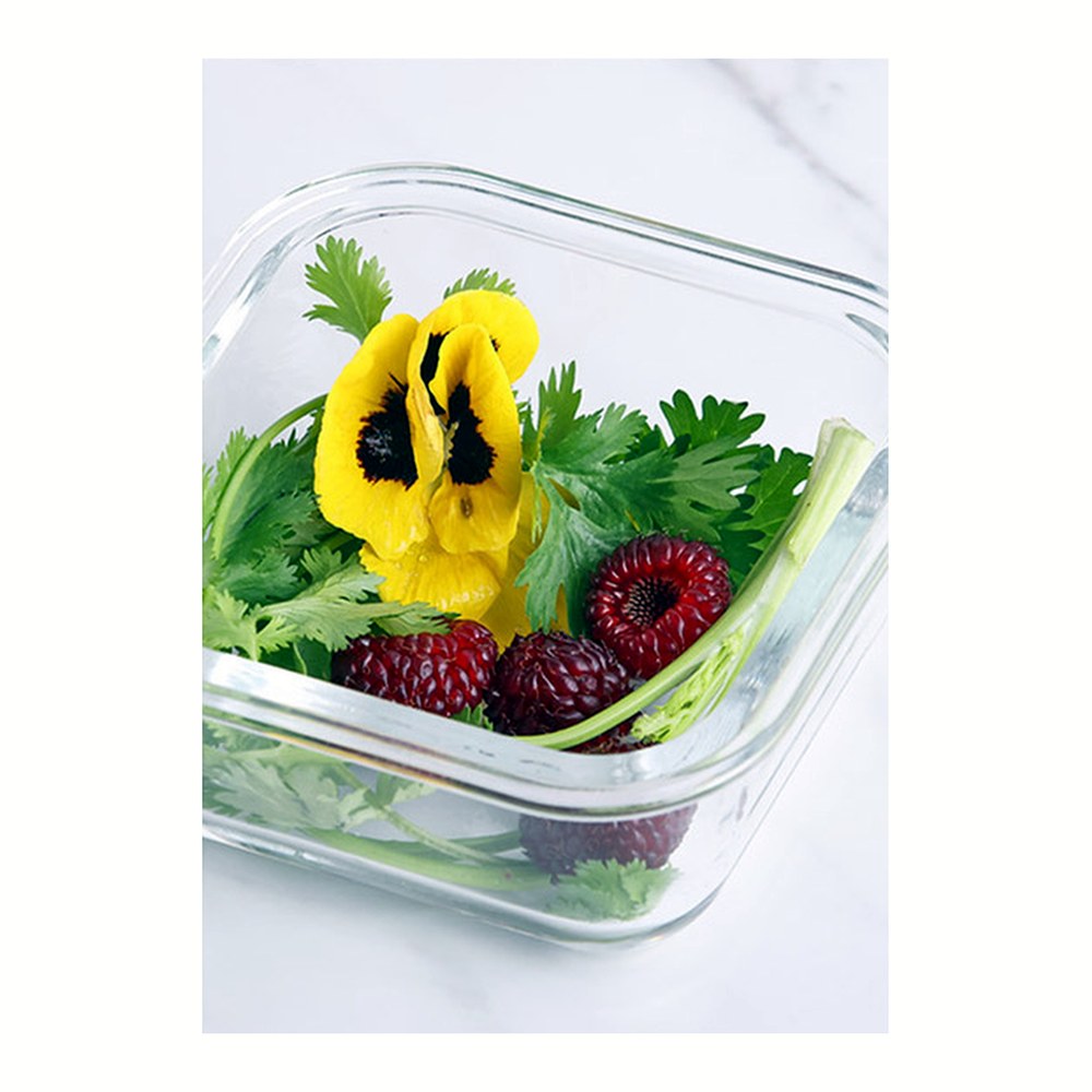 쉬젤 아티 내열유리 혼합 10종 세트, 320ml 3개 + 400ml 3개 + 520ml 2개 + 640ml 2개, 1세트