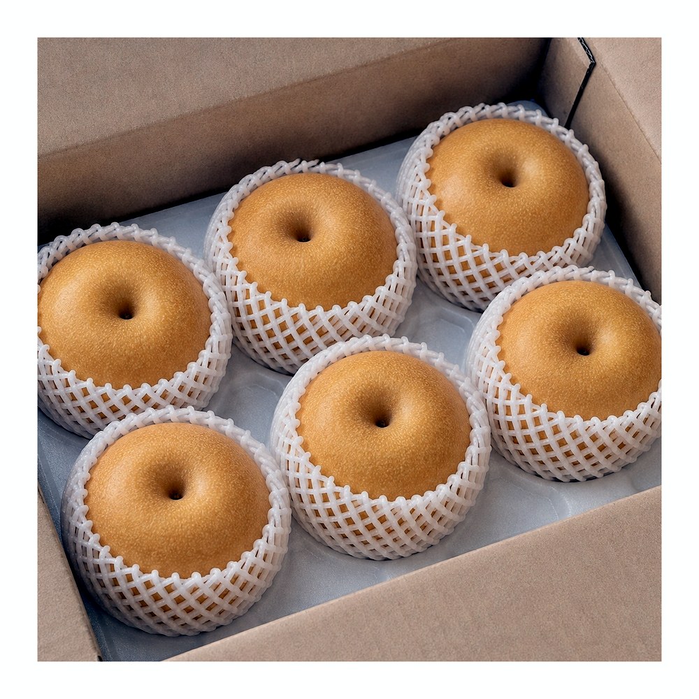 프로프룻 국내산 햇배, 대과, 개별망포장, 5kg, 1박스