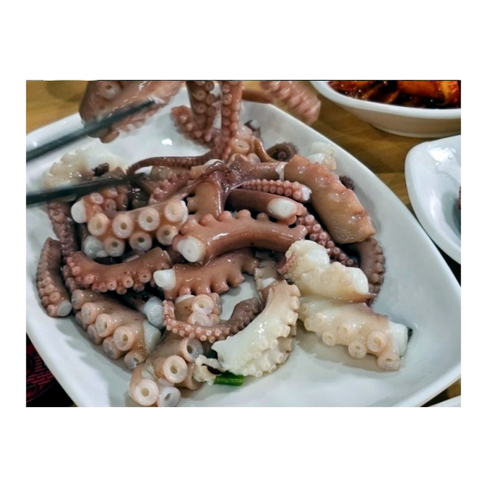 서해 선동 낙지, 1kg, 3팩