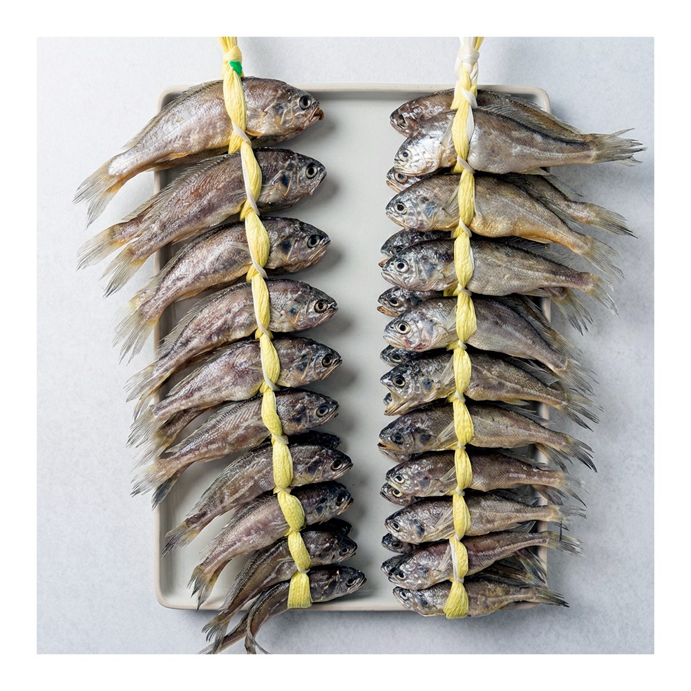 법성포 영광굴비, 20cm 내외, 20마리 영광굴비