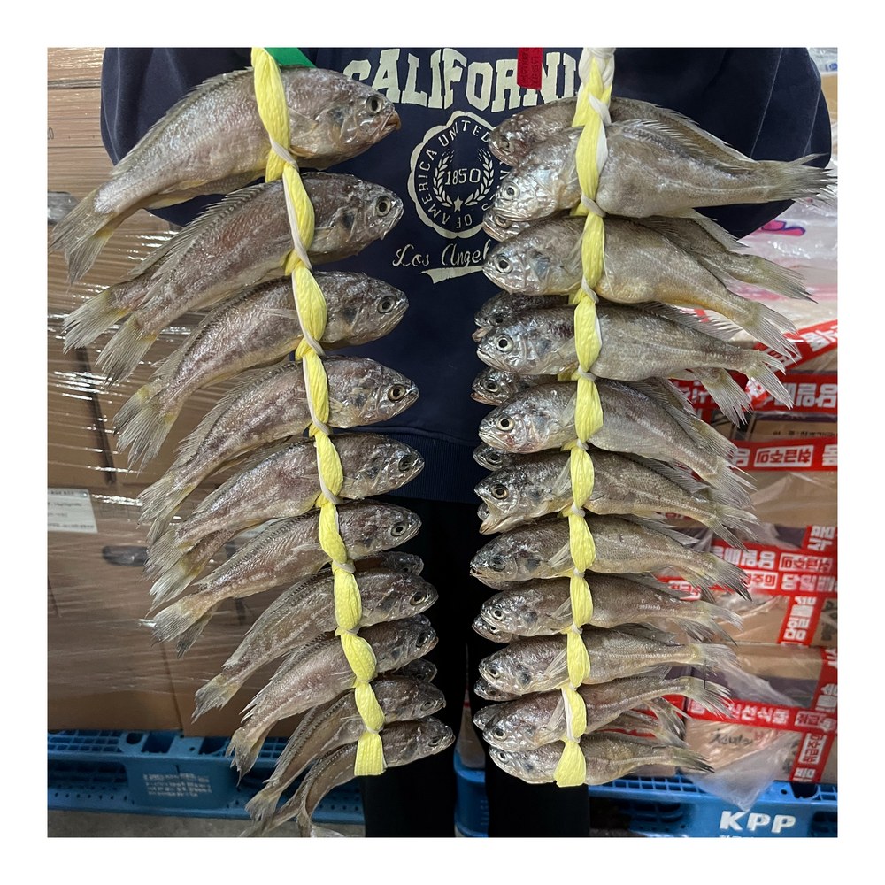 법성포 영광굴비, 20cm 내외, 20마리